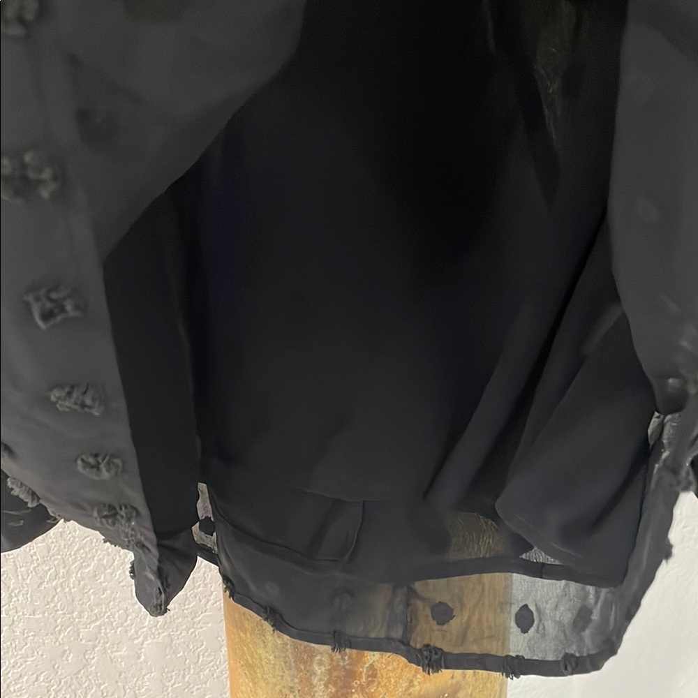 Entro Black Sheer Flutter Sleeve Blouse Gorgeous Top! SZ:L like new - Picture 7 of 14